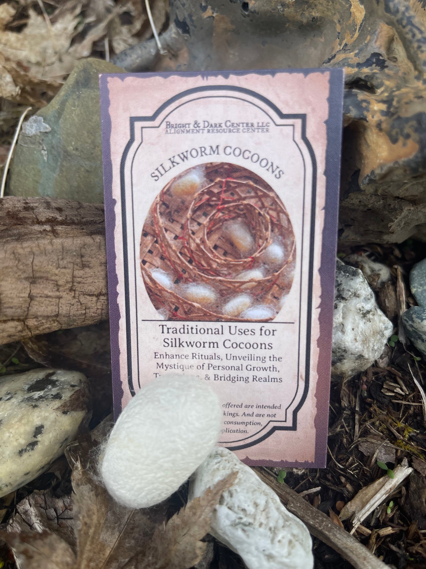 Silkworm Cocoons