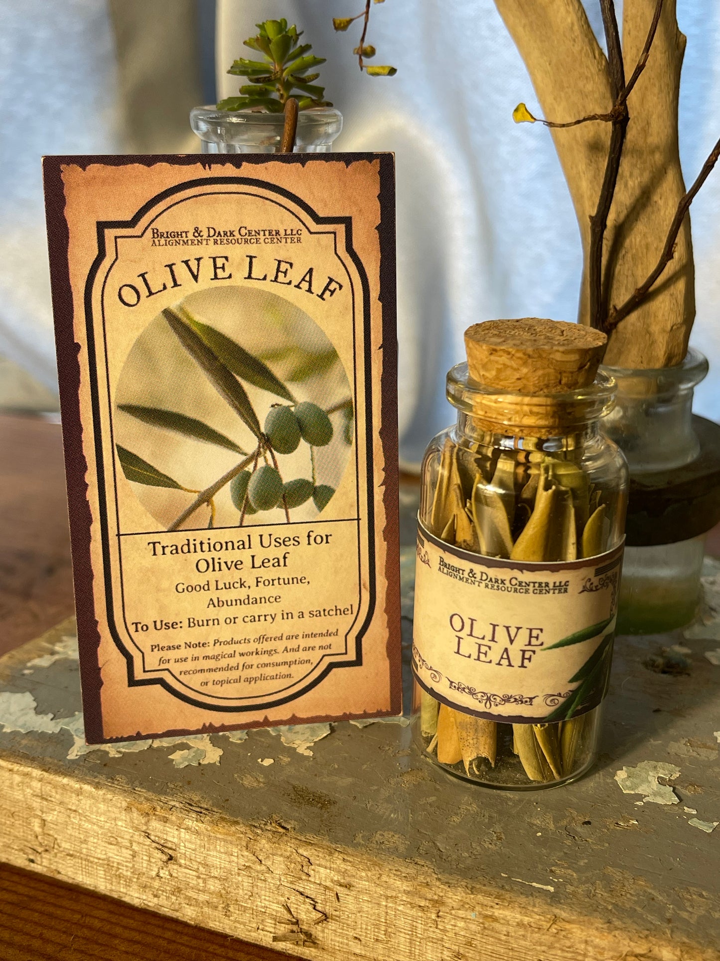 Olive Leaf