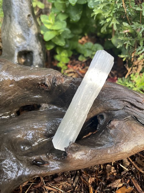 Selenite Wand - Bright and Dark Center LLC
