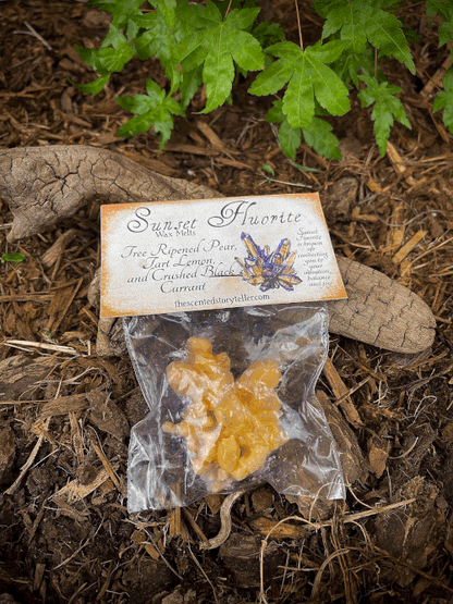 The Scented Story Teller Wax Melts
